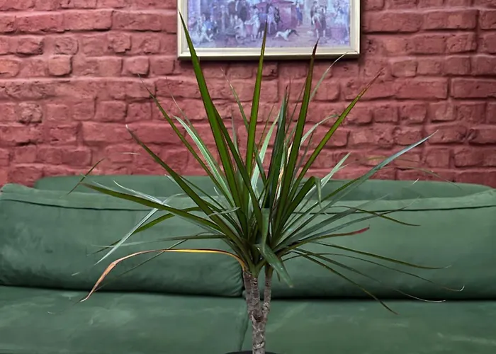 Hotel 1826 Heritage House